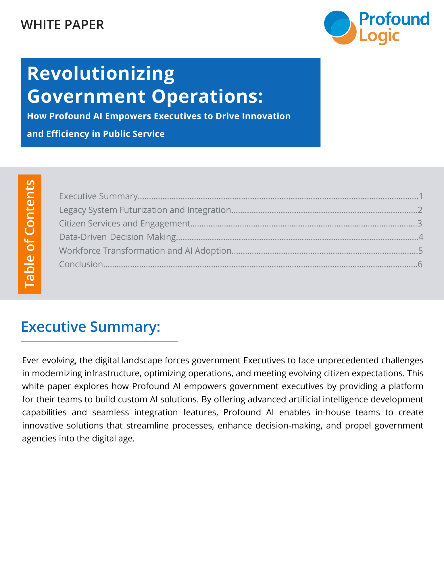 White Paper  Profound AI  CEO  Government